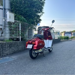 HONDA (ホンダ)タクトAB07 フルバックの画像