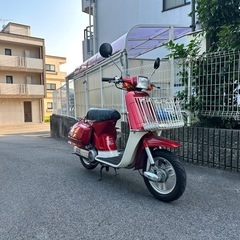 HONDA (ホンダ)タクトAB07 フルバックの画像