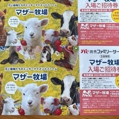 マザー牧場　今日まで