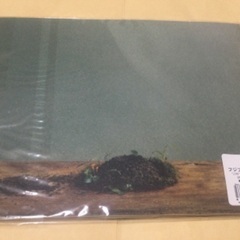 フジファブリック　LIFE ツアーパンフレットの画像