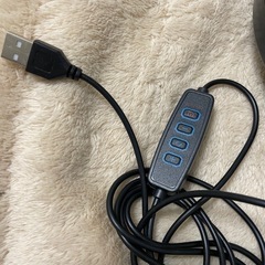 ‼️値下げ‼️ライトの画像