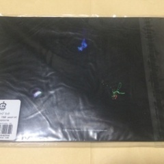 フジファブリック　Light flight ツアーパンフレットの画像