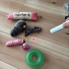 猫　おもちゃグッズ　まとめての画像