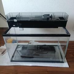 60cm水槽　上部濾過装置セット