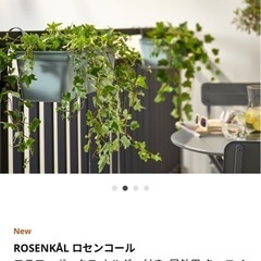 ハンギング　フラワーボックス　プランター　IKEAの画像