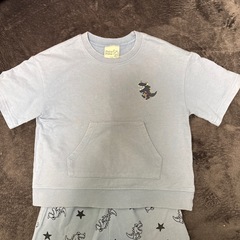 恐竜の服上下セット110cmの画像