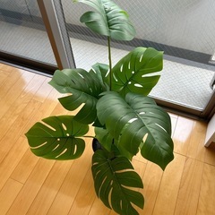 【美品】IKEA モンステラ フェイクグリーン　の画像