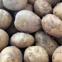 鹿児島産じゃがいも