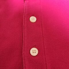 人気美品レディースBURBERRY BLACK LABEL 半袖シャツ Mサイズの画像