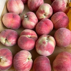 完熟　ハネだし桃　加工用