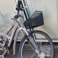 ジャイアントマウンテンバイクの画像