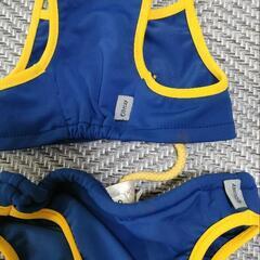 ペットの服(犬の水着）の画像