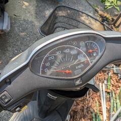 【お話中】Dio50cc 原付バイクの画像