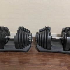 アジャスタブルダンベル40kg 2個セットの画像