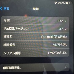 iPadmini 第6世代の画像