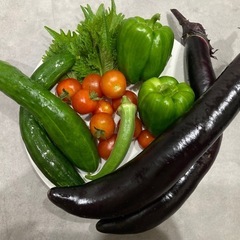 【家庭菜園の無農薬夏野菜セット🍆🍅🥒】の画像