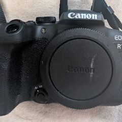 Canon R10(APS-C ミラーレス1眼）を売ります