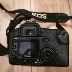 Canon EOS 20D デジタル一眼レフカメラの画像