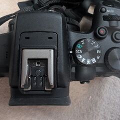Canon R10(APS-C ミラーレス1眼）を売りますの画像