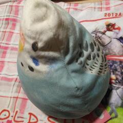 フェリシモ　小鳥部　もっちりかわいい　ふっくらインコの画像