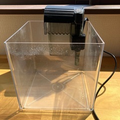 水槽18センチ四方