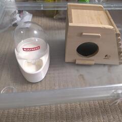 ハムスター飼育セットの画像