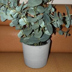 フェイクグリーン　観葉植物の画像