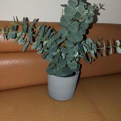フェイクグリーン　観葉植物の画像