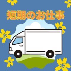 短期の大型ドライバー！積み下ろしなし◎A11K0011-1(3)