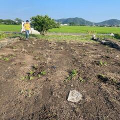 農具（鍬、シャベル、熊手）が必要です