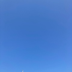 ↓自分の頑張り次第で昇給‼️真面目に働こうと思う人だけ連絡下さい。