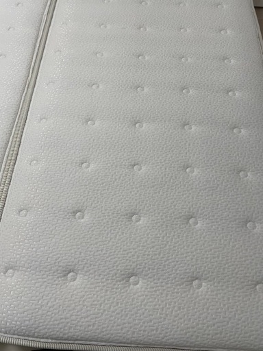 ベット