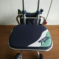 シルバーカー ウォーキングステッキの画像