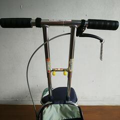 シルバーカー ウォーキングステッキの画像