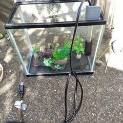 水槽　メダカや小さめの金魚用の画像