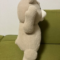 テッド　ぬいぐるみの画像