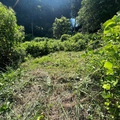 大自然溢れる山の中のキャンプ用地をお貸しします！の画像