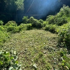 大自然溢れる山の中のキャンプ用地をお貸しします！の画像