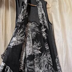 レディース夏服の画像