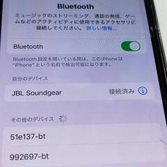 JBL SOUNDGEAR 6132A ネックスピーカーの画像