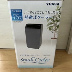値下げ！YUASA スモールクーラー 美品  の画像