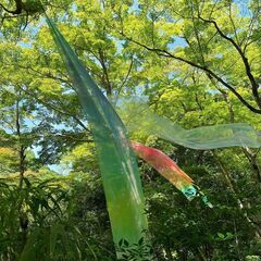 友達募集✨✨