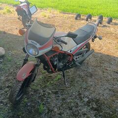 YAMAHA　RZ250R