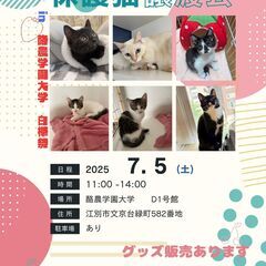 【江別】保護猫の譲渡会in酪農大学白樺祭〈7/5〉