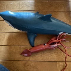 サメ　ダイオウイカの画像