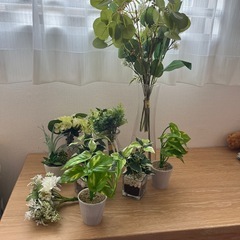人口観葉植物　セット　新品未使用の画像