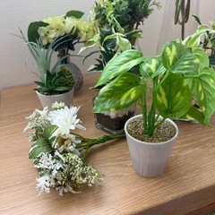 人口観葉植物　セット　新品未使用の画像