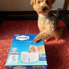犬用フィルター式給水器　ピュアクリスタルの画像