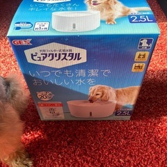 犬用フィルター式給水器　ピュアクリスタルの画像
