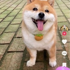 全国メンバーさん　リニューアルオープン　カラオケ好きも♡